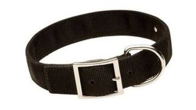 #逆天 #教育 #搞笑 好用