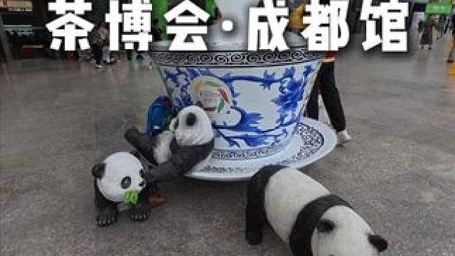 作为成都人，怎么能不知道成都的特色茶？ #茶博会 #第十四届茶博会成都馆 #成都茶国际味 #茶博会成