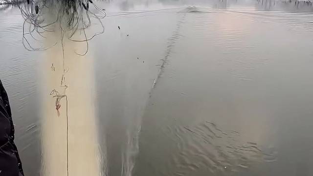 #户外捕鱼 #真实户外 #现场实拍 #河边随拍