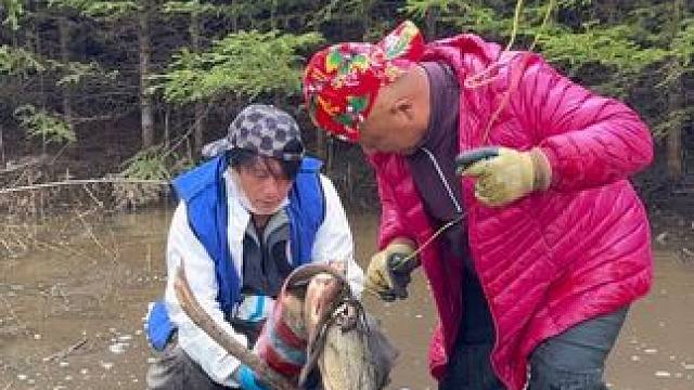 #三农户外捕鱼