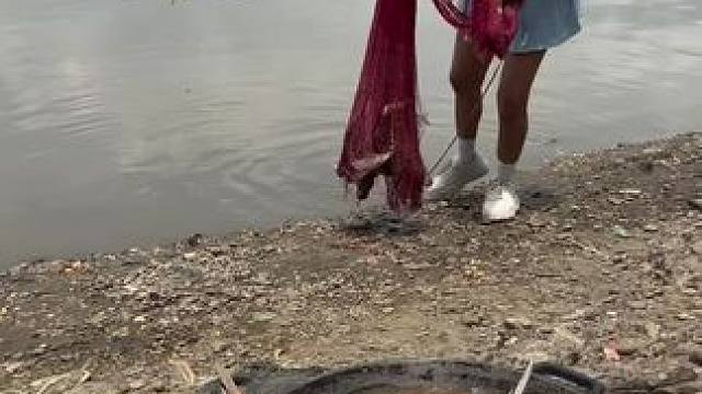 东南亚特色美食 #东南亚美食 #我的乡村生活 #乡村守护人