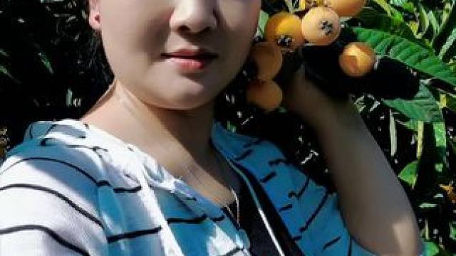 巴铃花坝枇杷采摘中……