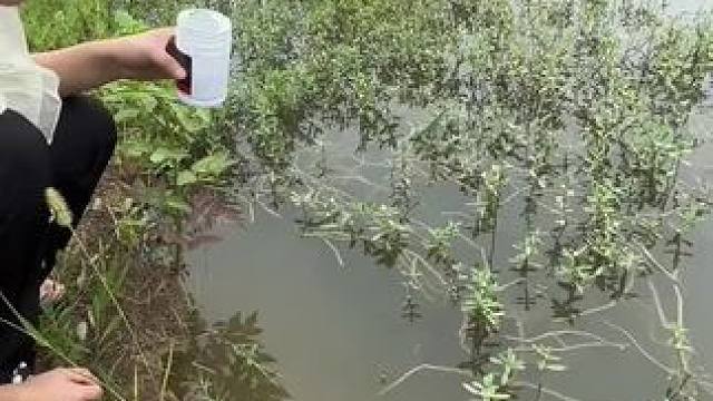 这穿透力怎么样#钓鱼人就是这么疯狂 #钓鱼 #测试 #钓鱼的乐趣只有钓鱼人懂 #钓鱼人