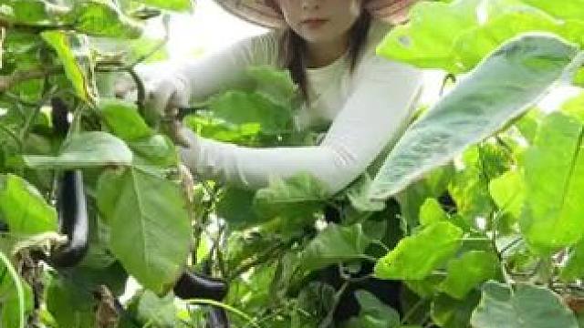 #农村生活 #三农  #美女  #乡村生活