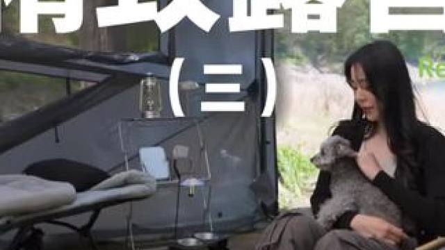 精致露营（三）#露营 #助眠 #解压 #萌宠 #户外露营