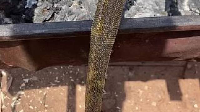 非洲特色美食 #东南亚美食 #我的乡村生活 #乡村守护人 #内容启发搜索 #非洲生活