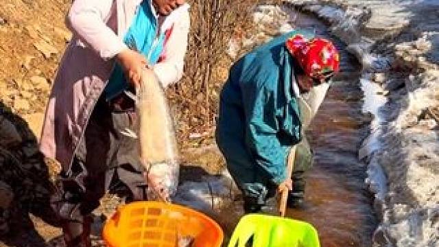 #三农户外捕鱼 #好大一条鱼