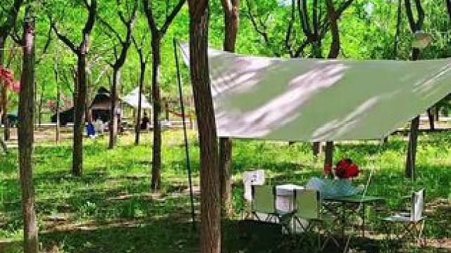 一起来房车园撒欢吧，环境也太棒了！开心！#踏青好去处 #露营 #童话森林