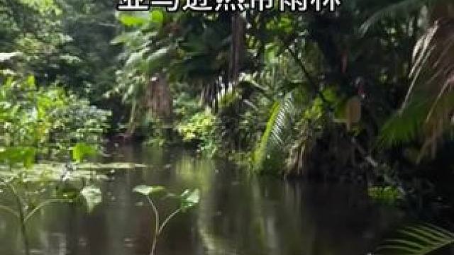 走进亚马逊原始森林，曾被世人遗忘的角落。#旅行大玩家 #亚马逊雨林 #印第安人 #大自然的鬼斧神工