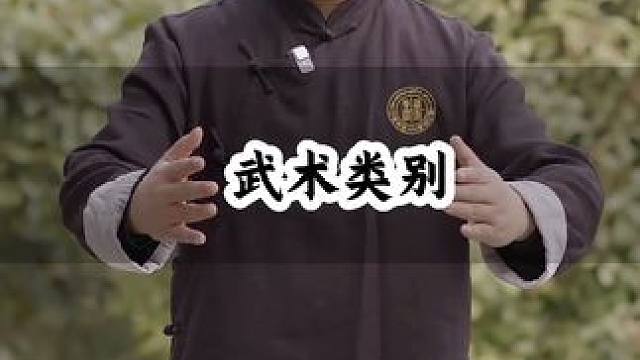 学武术四个类别 #武当武术 #道家武术 #道家文化 #道家养生