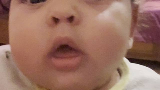 我的阿拉伯侄儿