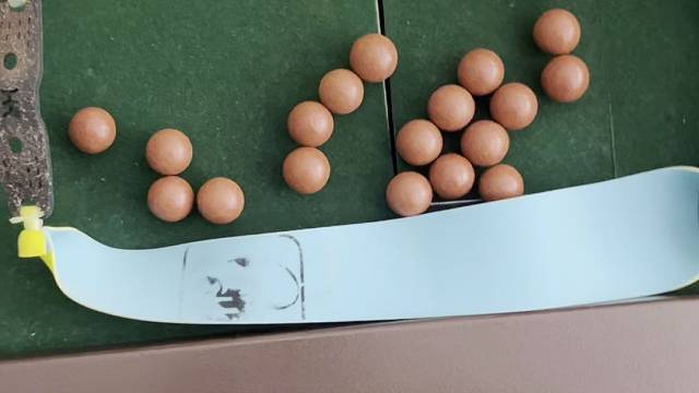 弹弓大配置可以干翻老鼠！