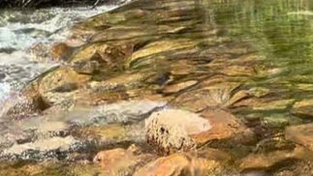 夏天又到了玩水露营的季节，请大家一起做到文明出行，无痕露营 #贵阳周边游 #夏天就是要玩水 #周末去