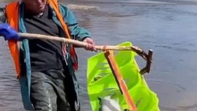 #大鲤子鱼来了 #三农户外捕鱼