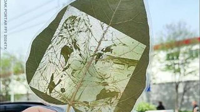 战双中的意难平#战双帕弥什 #战双帕弥什末路燎原 #战双帕弥什鬼泣五联动 #比安卡深痕