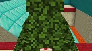 #我的世界 #Minecraft
