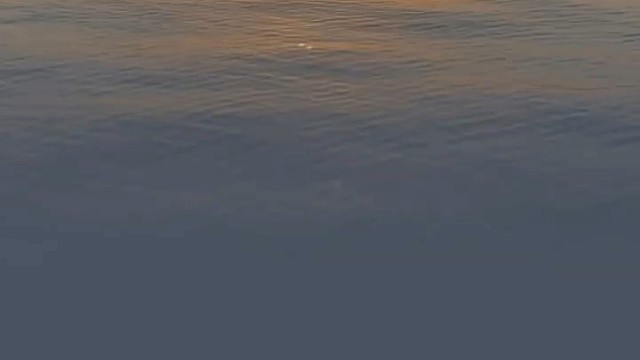 你是夏日清风，是冬日暖阳