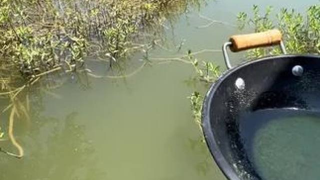 测试现场#测试 #钓鱼人就是这么疯狂 #钓鱼人 #钓鱼的乐趣只有钓鱼人懂 #钓鱼