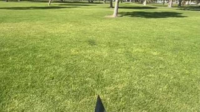 没有男生会拒绝这么酷的玩具吧~ #有男生会拒绝这个玩具吗 #酷炫