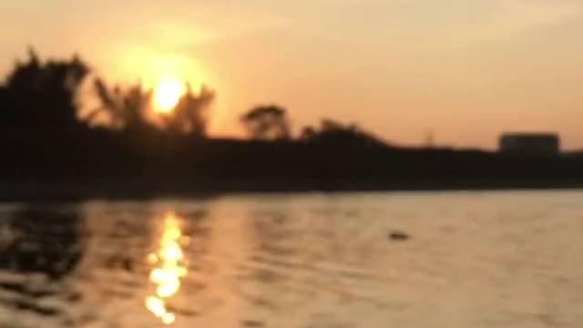 (๐•̆ ·̭ •̆๐) 我不