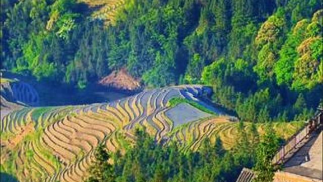 来到桂林龙脊梯田，真的被这里的景色治愈了。