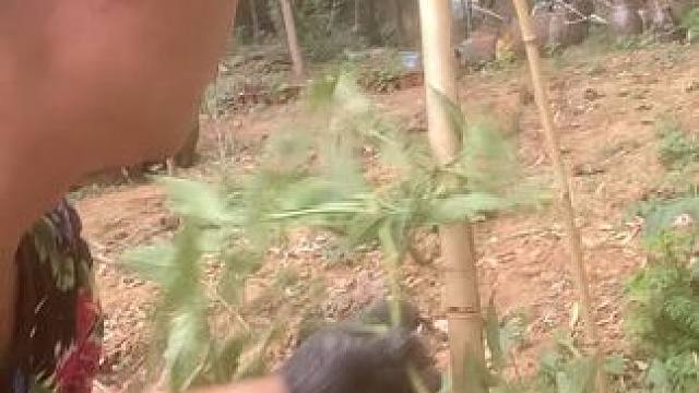 #笑着生活 #࿆把微笑࿆挂࿆在࿆脸࿆上࿆ #人生在世要快乐