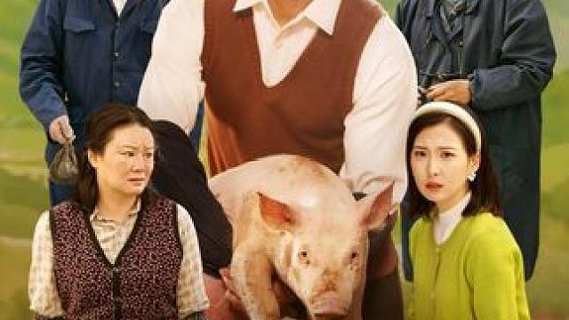 #我教村民养猪仔