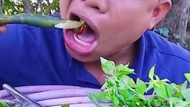 荷花杆酸辣凉拌️新鲜大花螺 #美食 #泰国美食 #户外美食 #内容启发搜索