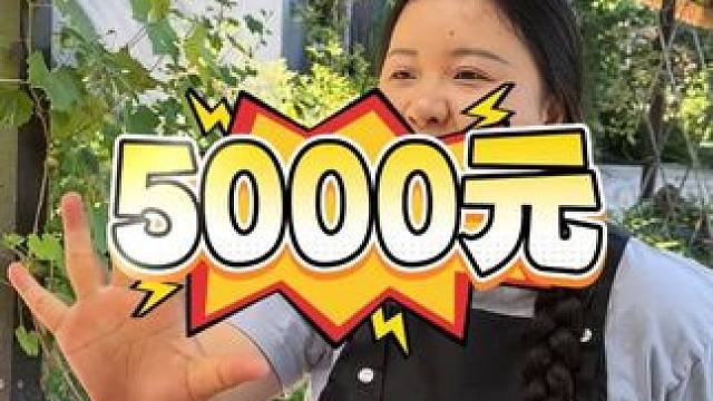 胖妹奖励5000元向全网征集一个口号，大家快点集思广益开动脑筋吧！