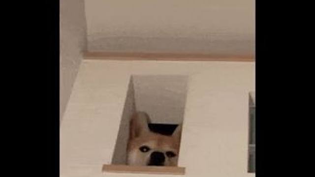 怎么才发现有这清洁神器！！#家清洁净力