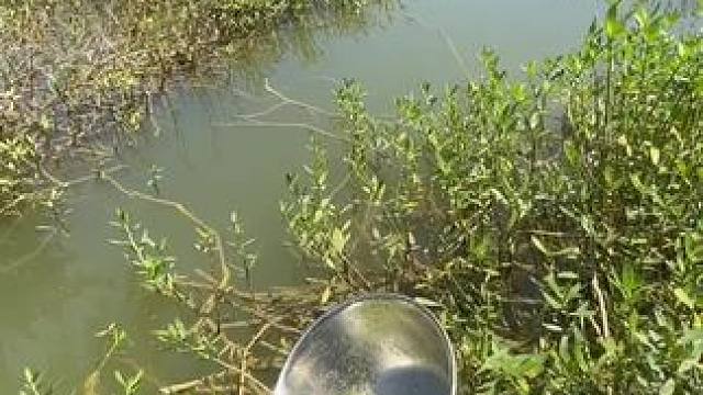 这穿透力牛#钓鱼人就是这么疯狂 #测试 #钓鱼的乐趣只有钓鱼人懂 #钓鱼人 #钓鱼