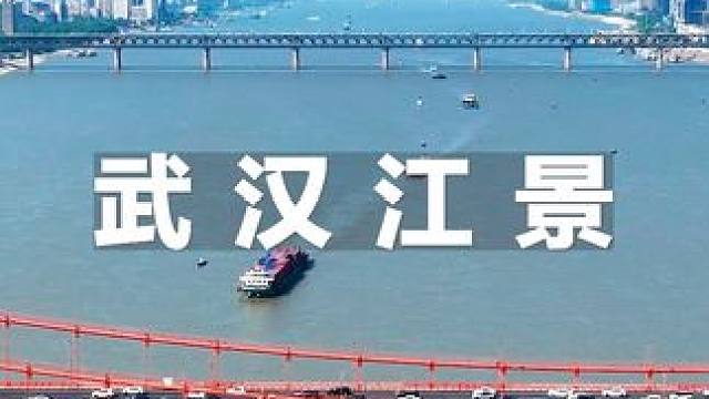 一条大河波浪宽，风吹稻花香两岸 #武汉 #武汉长江大桥 #鹦鹉洲长江大桥 #航拍