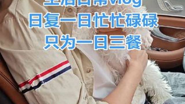 大话西游2掌柜我的一天日常#大话西游 #大话西游2经典版 #大话西游2掌柜