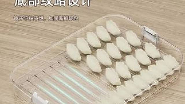 #郝劭文 饺子盒专用冻饺子盒冰箱收纳盒家用水饺托盘速冻混沌保鲜冷冻盒子 #饺子收纳盒 #冰箱收纳保鲜