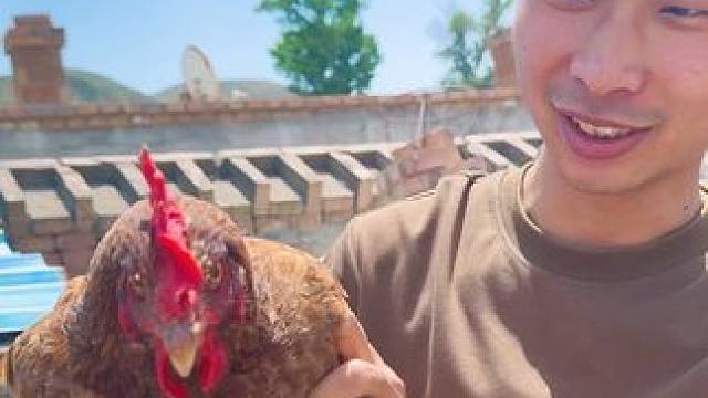 乡村振兴 一只母鸡，一份希望！#乡村守护人 #三农 #乡村振兴