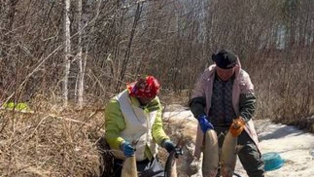 #三农户外捕鱼 #大表哥抓鱼