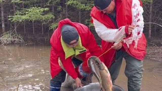 #三农户外捕鱼 #高手捕鱼