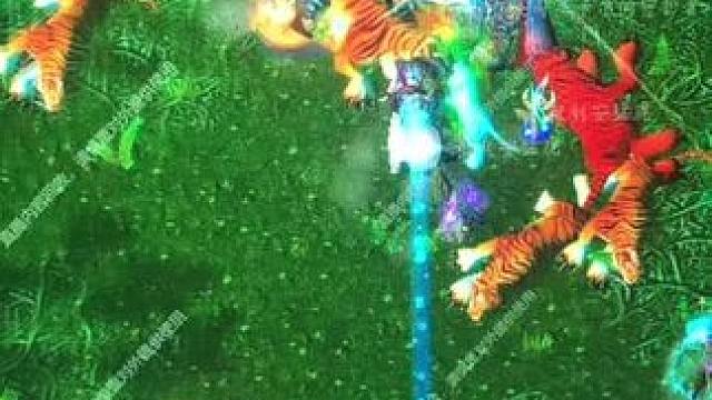 半夜开个团出个老虎。可惜。。。#我比你们多一个世界 #魔兽坐骑 #魔兽世界硬核