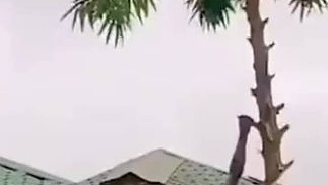 我发布了一个新视频，快来围观吧！