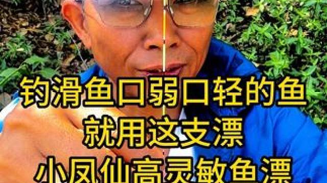 钓滑鱼，口弱口轻的鱼，就用这支漂小凤仙水晶尾高灵敏鱼漂 钓滑鱼，口弱口轻的鱼，就用这支漂小凤仙水晶尾