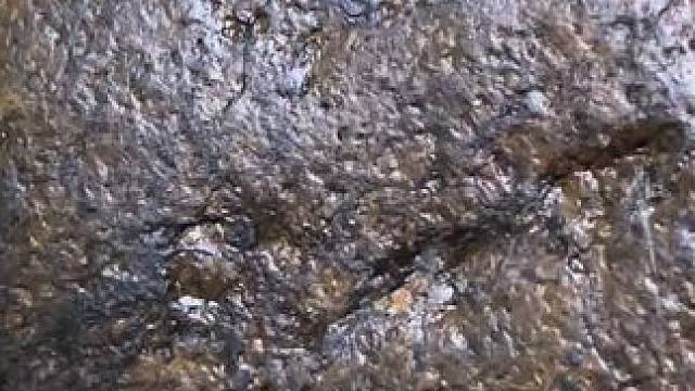 #弘扬华夏陨石文化交流与鉴赏收藏#以石会友广交天下朋友 #原石原色纯天然陨石#不弄虚作假