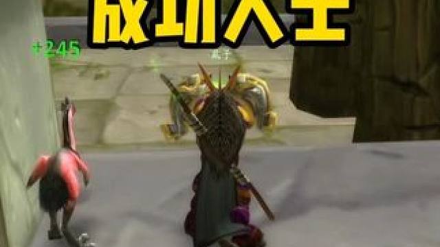 猎人虱子做了个大生意 以后请叫他成功人士 #魔兽世界怀旧服 #魔兽世界 #魔兽世界周年服