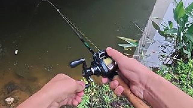 系统调整青稍攻击速度了吗？#新手路亚 #钓鱼