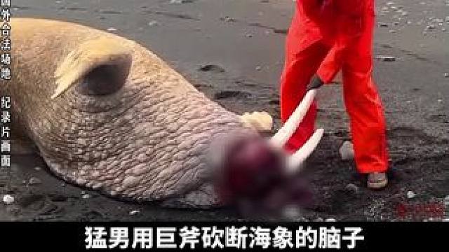 找对象，陌陌靠谱，快来评论区看看吧 #找女朋友