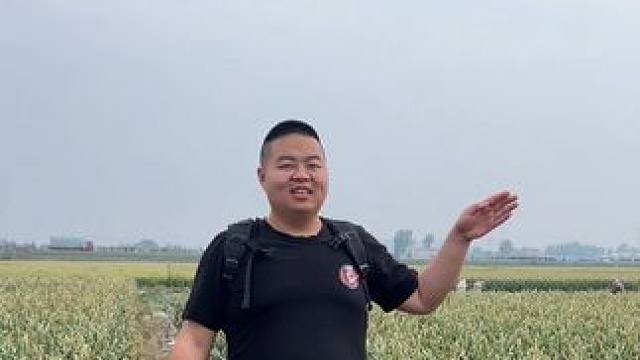 媳妇刚学会剪辑，我让她把废话都剪掉… #搞笑