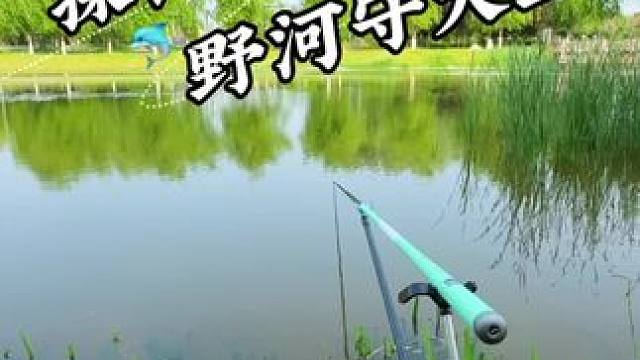 探钓野河守大鱼 #520不说爱只说热爱 #轻量化垂钓就选渔之源#钓鱼日记#嫩玉米#蓝鲫青春版