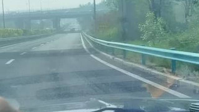 阳光多灿烂#主驾驶安全拍摄