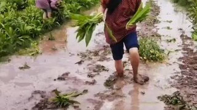 我发布了一个新视频，快来围观吧！