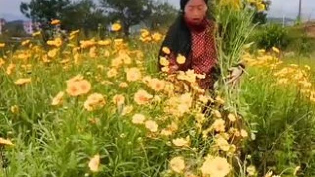 我发布了一个新视频，快来围观吧！