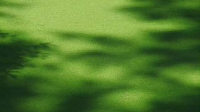 巨显白的藏蓝色 黄黑皮都不用担心#旅游套装 #旅游穿搭 #度假穿搭 #套装推荐 #两件套